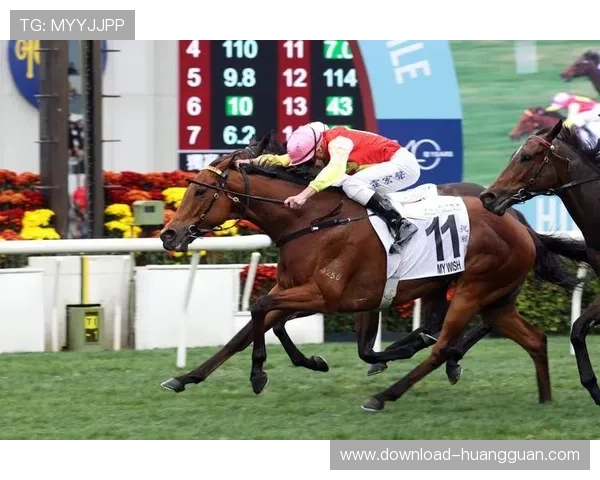 hkjc中文站：如何通过香港赛马会中文站快速了解赛马比赛规则与投注方法