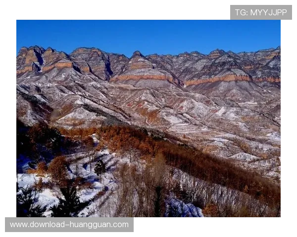 大阳城手机登录遇到问题怎么办详细解决方案推荐